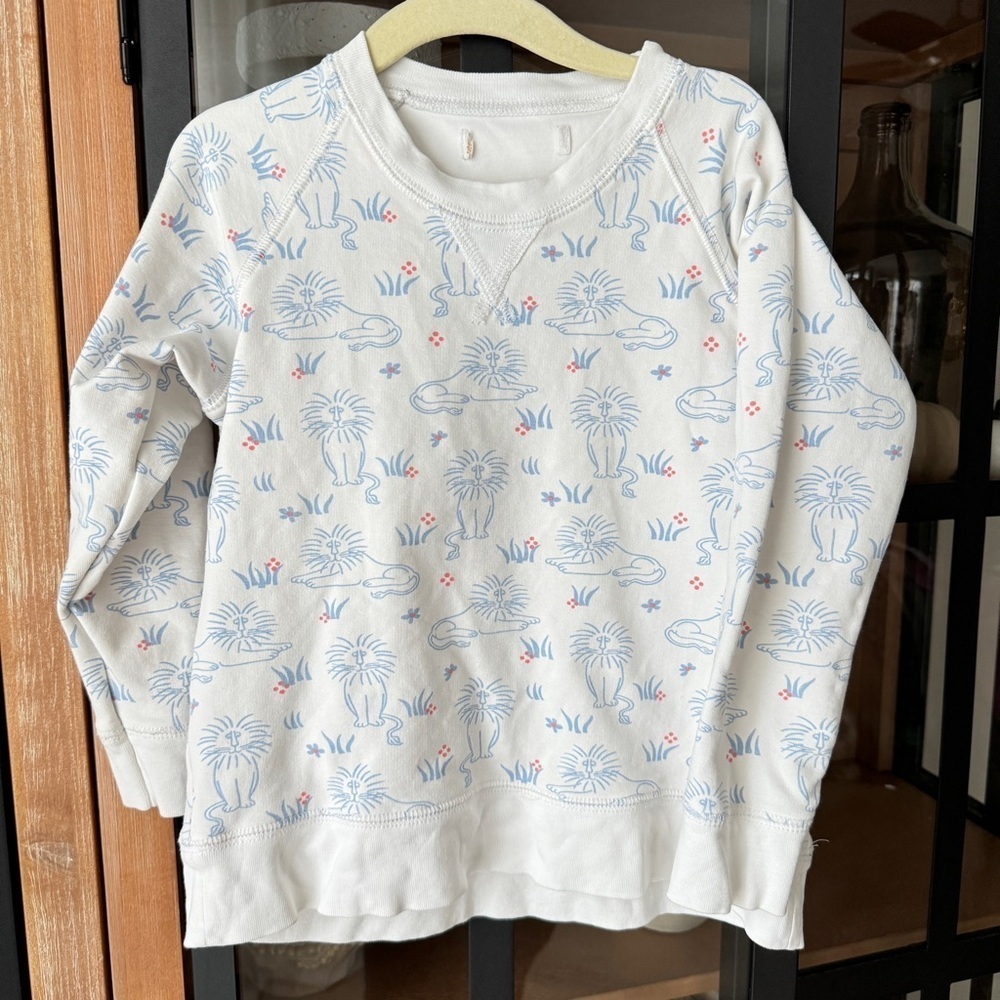 TBBC sweater just lion around Cassidy Comfy Crewneck sweatshirt girl boy toddler